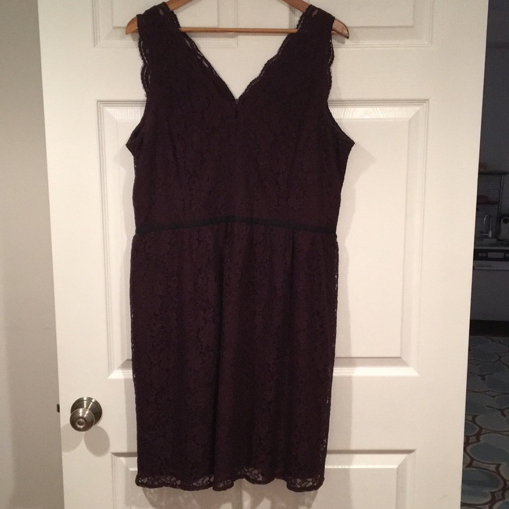 Loft lace cocktail dress